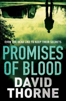 Promises of Blood Read online