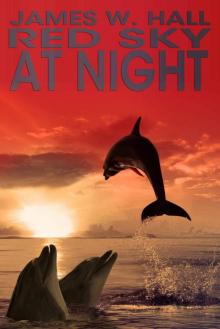 Red Sky At Night (Thorn Series Book 6) Read online