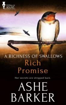 Rich Promise Read online