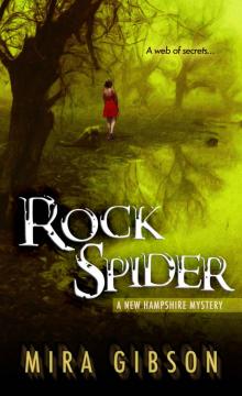 Rock Spider (A New Hampshire Mystery Book 2) Read online