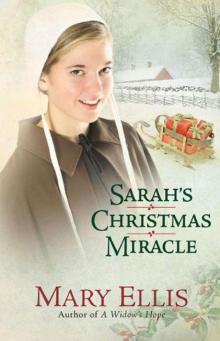 Sarah's Christmas Miracle Read online