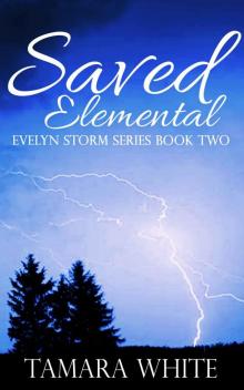 Saved Elemental (Evelyn Storm Series Book 2) Read online