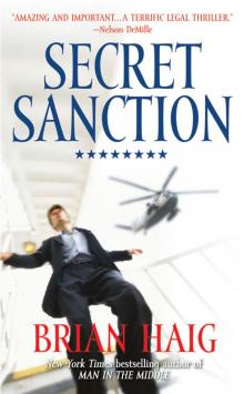 Secret Sanction Read online