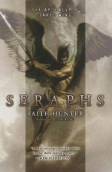Seraphs tsc-2 Read online