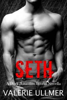 Seth (Dark Assassins #2.5) Read online