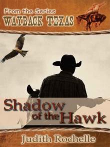 Shadow of the Hawk [Wayback Texas Series] Read online