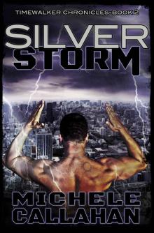 Silver Storm: Timewalker Chronicles, Book 2 Read online