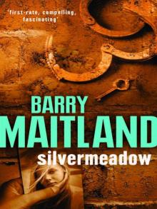 Silvermeadow bak-5 Read online