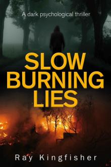Slow Burning Lies - A Dark Psychological Thriller Read online