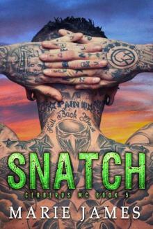 Snatch: Cerberus MC Book 5 Read online