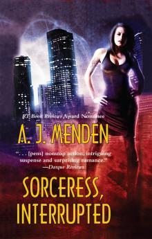 Sorceress, Interrupted Read online