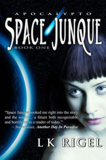 Space Junque Read online