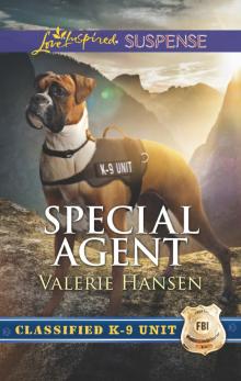 Special Agent Read online
