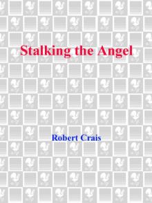 Stalking the Angel Read online