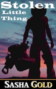 Stolen Little Thing (Little Thing Series Book 1) Read online