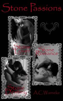 Stone Passions Trilogy (Stone Passion 1, 2, & 3) Read online