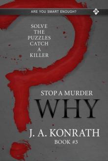 STOP A MURDER - WHY (Mystery Puzzle Book 3)