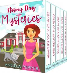 Stormy Day Mysteries 5-Book Cozy Murder Mystery Series Bundle Read online