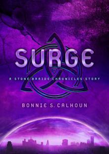 Surge: A Stone Braide Chronicles Story Read online