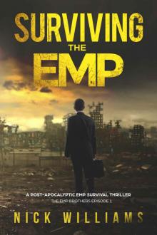 Surviving The EMP: A Post-Apocalyptic EMP Survival Thriller (The EMP Brothers Series Book 1) Read online
