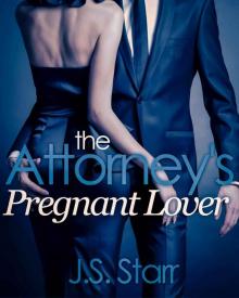 The Attorney's Pregnant Lover Read online