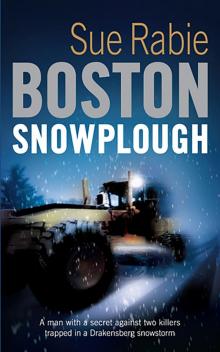 The Boston Snowplough