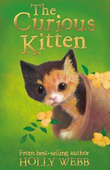 The Curious Kitten Read online