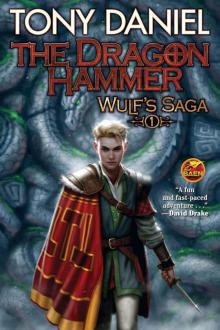 The Dragon Hammer (Wulf's Saga Book 1)