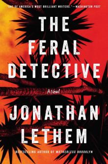 The Feral Detective Read online