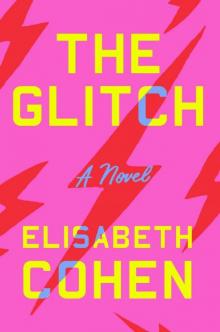 The Glitch_A Novel