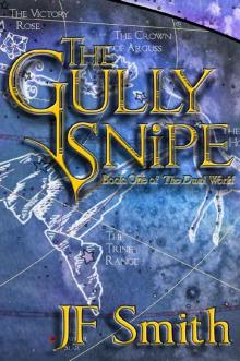The Gully Snipe (The Dual World Book 1) Read online