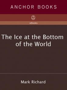 The Ice at the Bottom of the World Read online