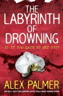 The Labyrinth of Drowning hag-3 Read online