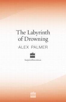 The Labyrinth of Drowning Read online