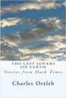 The Last Lovers on Earth: Stories from Dark Times