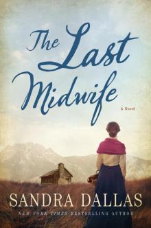 The Last Midwife Read online