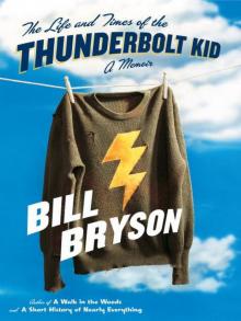 The Life and Times of the Thunderbolt Kid Read online
