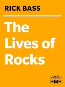 The Lives of Rocks Read online