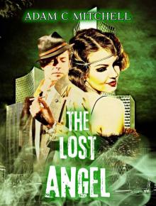 The Lost Angel Read online