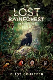 The Lost Rainforest Read online