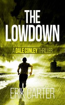 The Lowdown (Dale Conley Action Thrillers Series Book 3) Read online