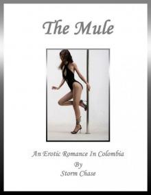 The Mule: An Erotic Romance in Colombia