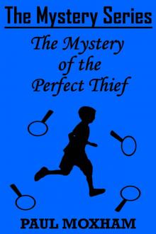 The Mystery of the Perfect Thief (The Mystery Series Short Story Book 11) Read online
