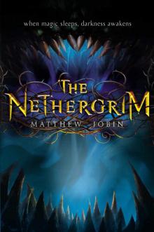 The Nethergrim Read online