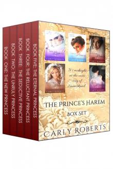 The Prince's Harem Box Set: The Prince's Harem Books 1-5