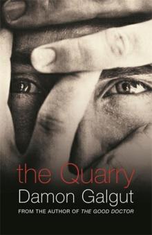 The Quarry Read online