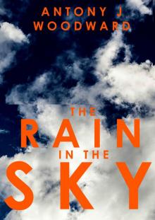 The Rain In The Sky Read online