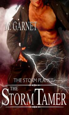 The Storm Tamer Read online