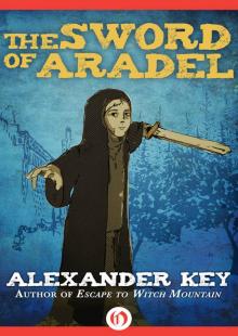 The Sword of Aradel Read online