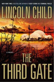 The Third Gate: A Novel